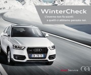 Audi Winter Check