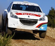 Peugeot 208 Type R5