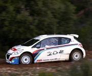 Peugeot 208 Type R5