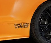RCZ Arlen Ness