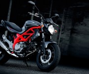 Suzuki Gladius 2013