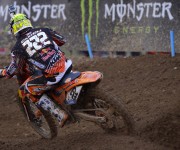 Tony Cairoli
