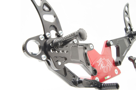 Pedane Spider BMW S1000RR