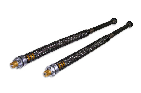 Andreani cartuccia per naked