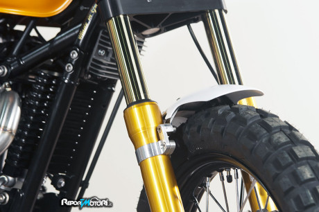 Ohlins R&T 43 - Triumph