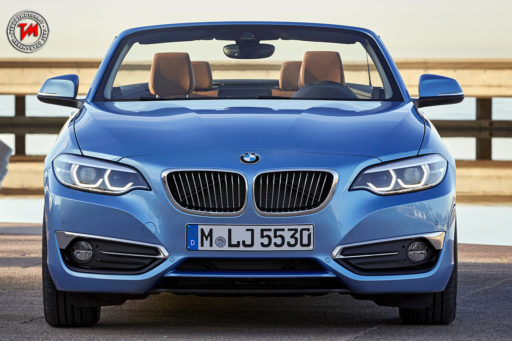 bmw,bmw serie 2,serie 2,serie 2 cabrio,bmw serie 2 cabrio