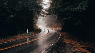 Guidare con la nebbia