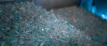 Carglass: il supporto all'economica circolare ed all'ambiente