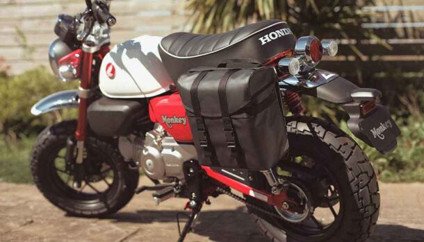 Honda Monkey 125 YM2025