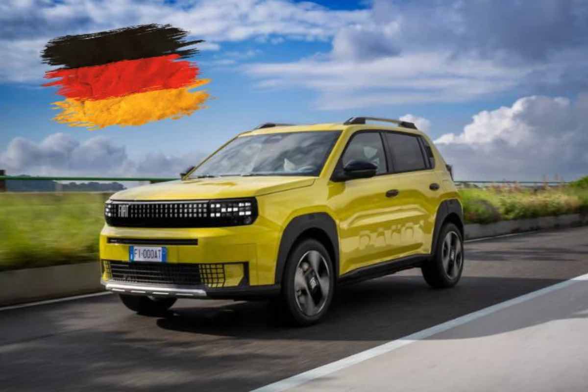 Grande Panda tedesca nuova variante