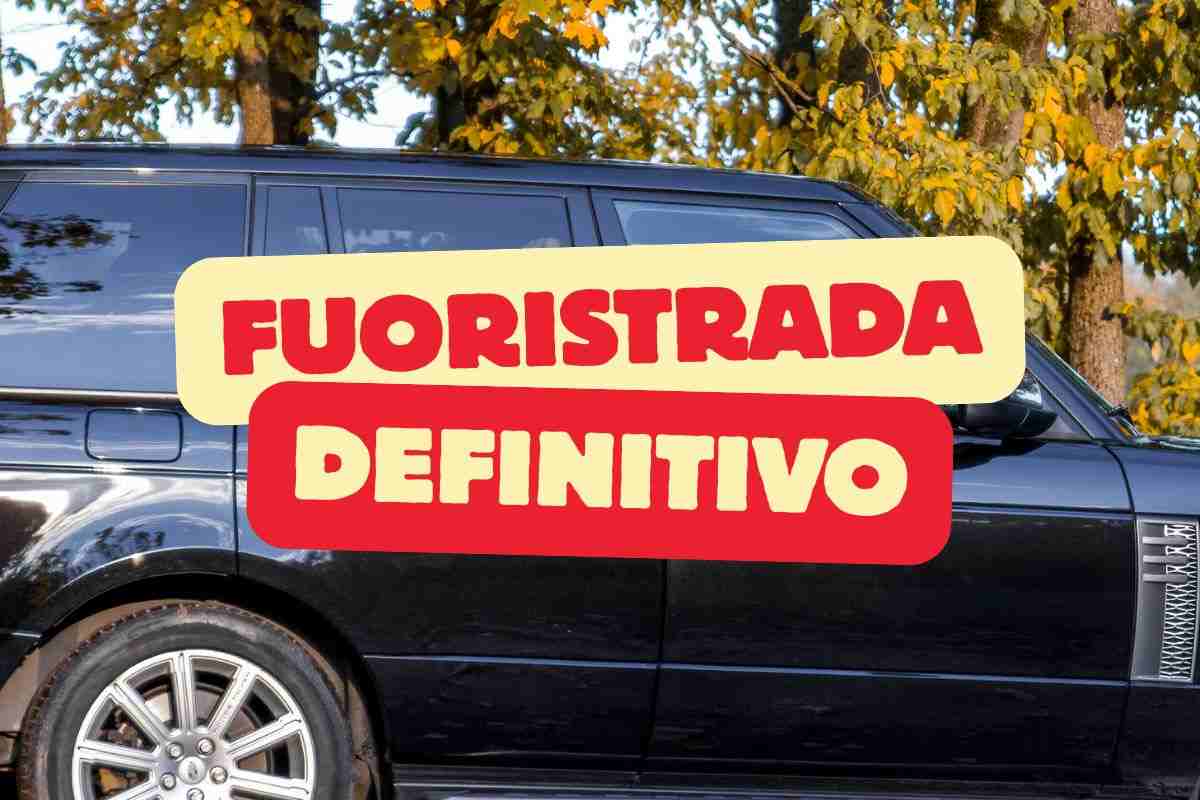 Fuoristrada Range Rover Classic Vinile