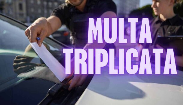 Abbandono cani strada multa triplicata