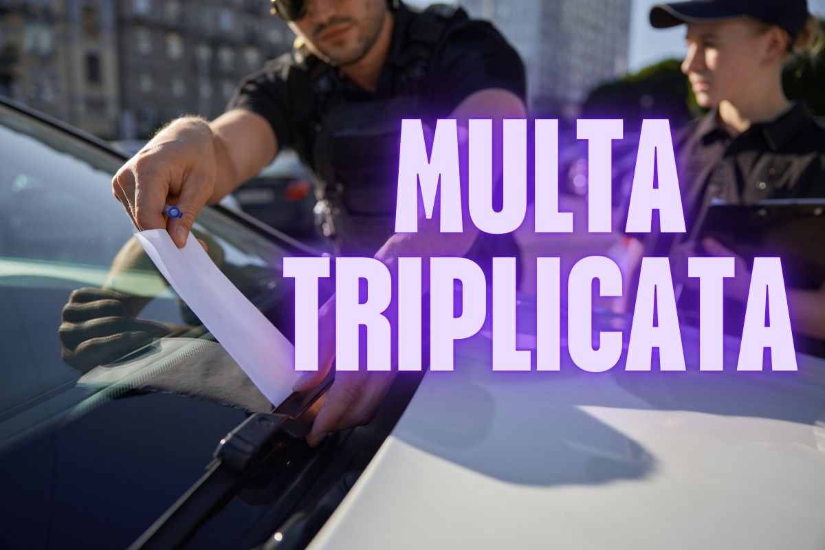 Abbandono cani strada multa triplicata