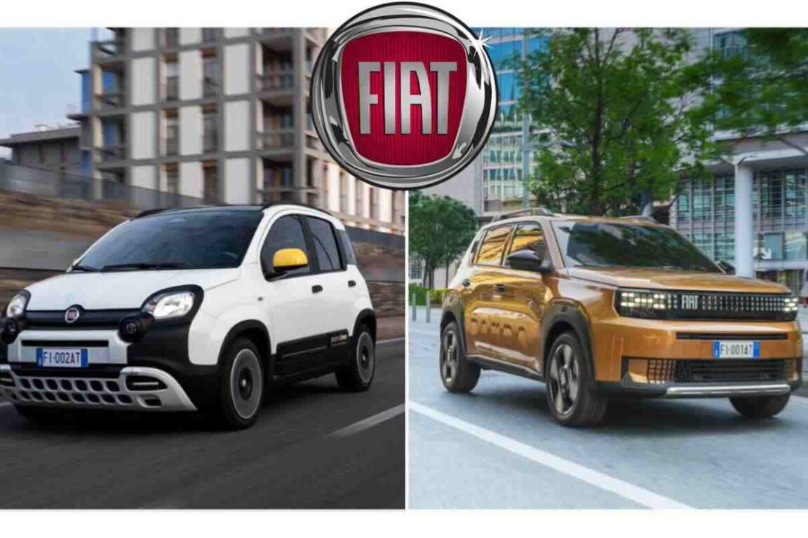 FIAT, come cambiano Panda e Pandina? Arrivano nuove versioni e un ...