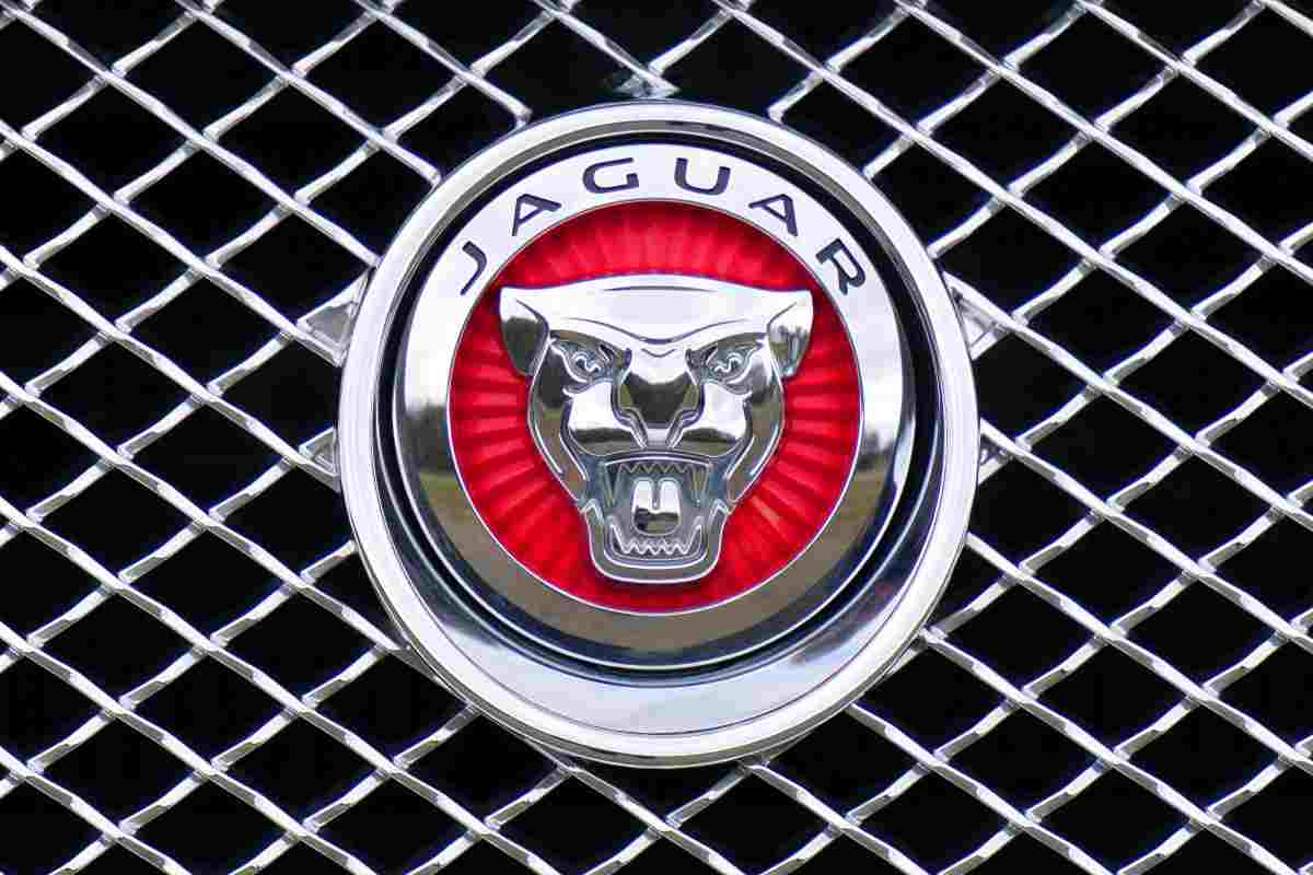 Jaguar trovata sotto il pavimento