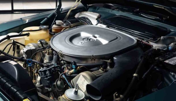 Mercedes dimenticata