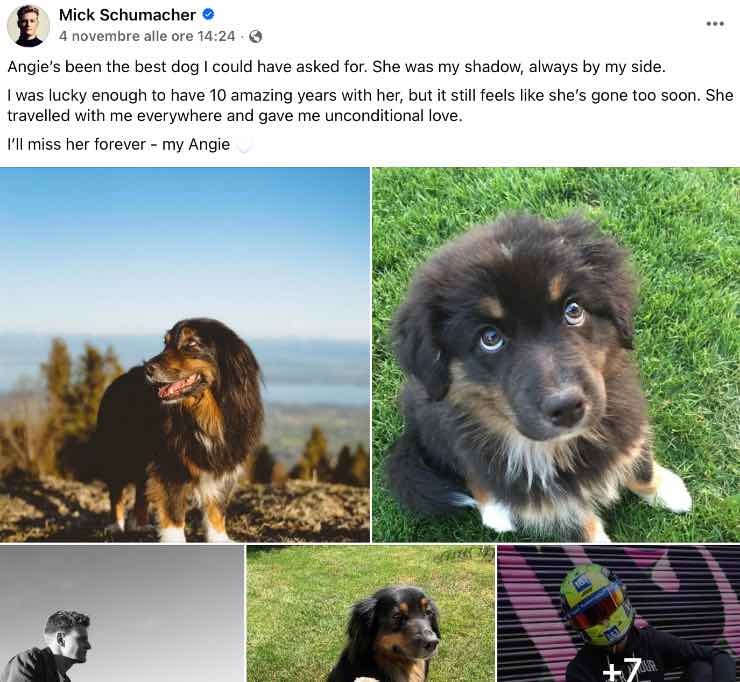 Cane Schumacher morta Angie