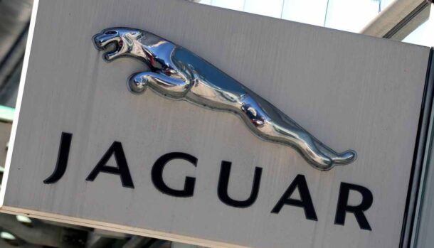 Jaguar ritrovata in un fienile