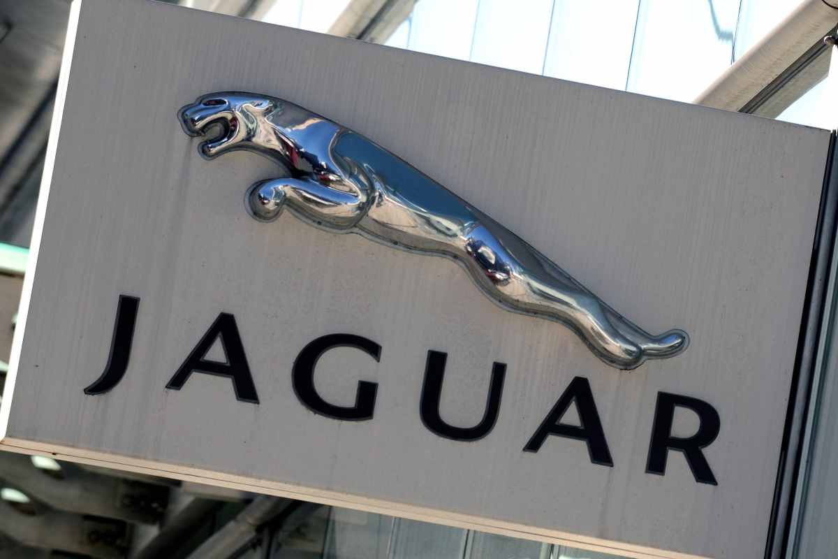 Jaguar ritrovata in un fienile