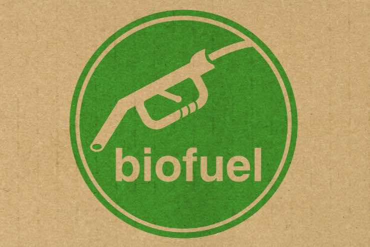 biofuel bmw green biocarburante