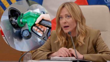 biofuel governo meloni biocarburante