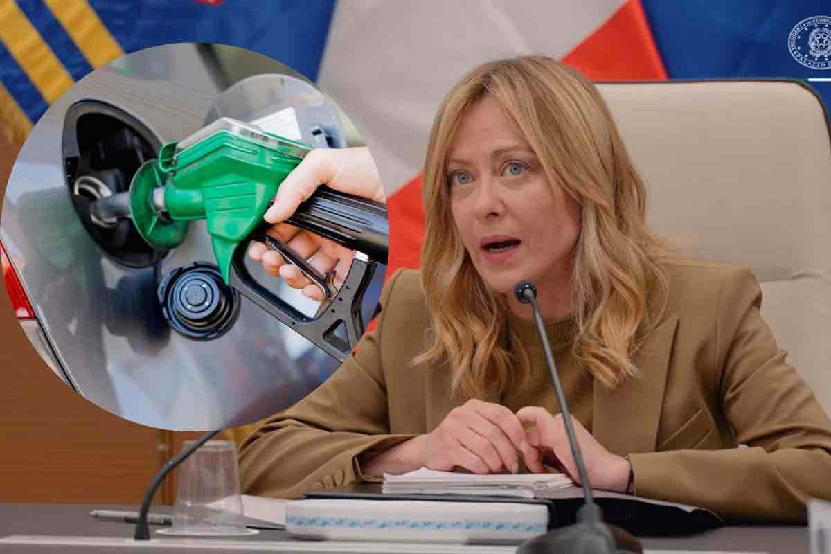 biofuel governo meloni biocarburante