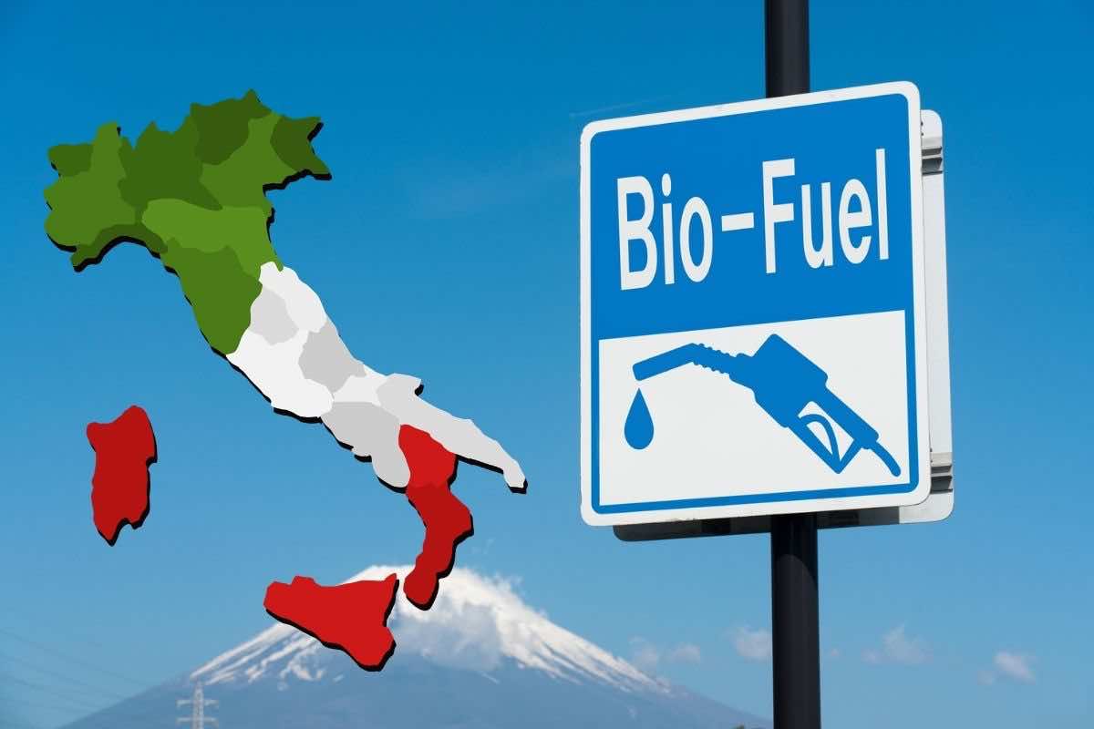 pane biofuel carburante green ecologico italia