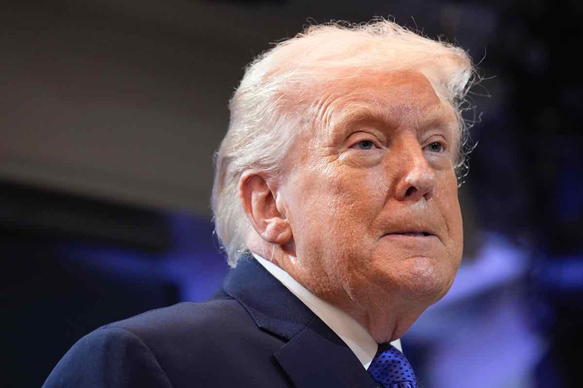 donald trump dazi stop