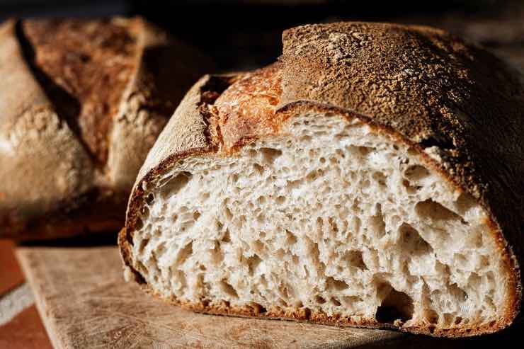 pane biofuel carburante green ecologico italia