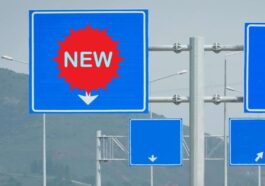 cartello rombo bianco novità