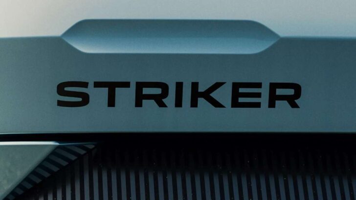 il logo della Dacia Striker