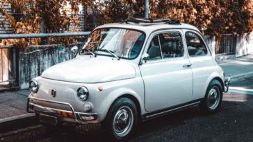 fiat elkann eredità margherita agnelli svizzera