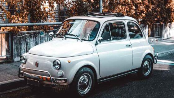 fiat elkann eredità margherita agnelli svizzera