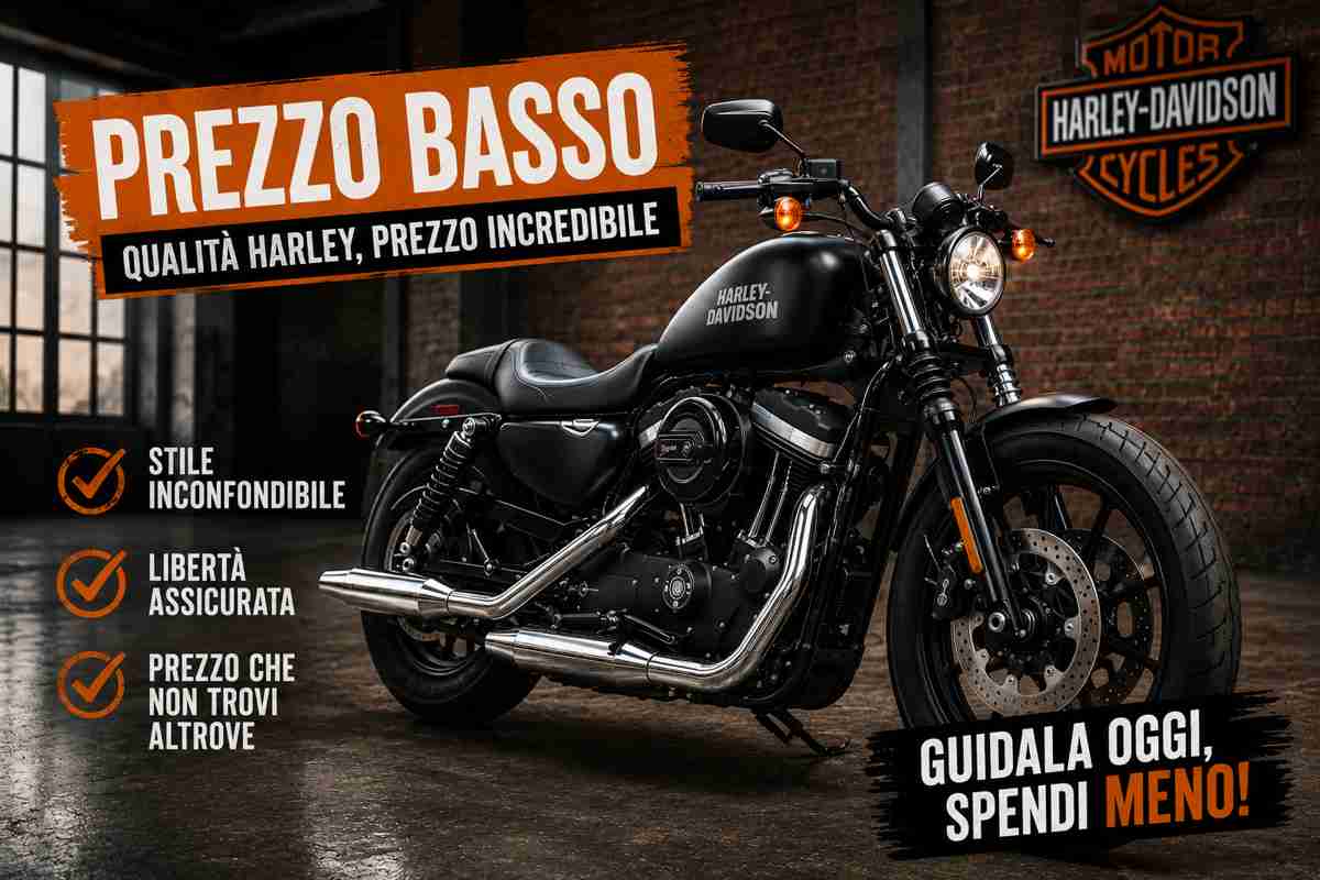 harley-davidson