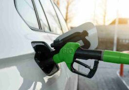 benzina green