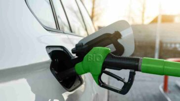 benzina green