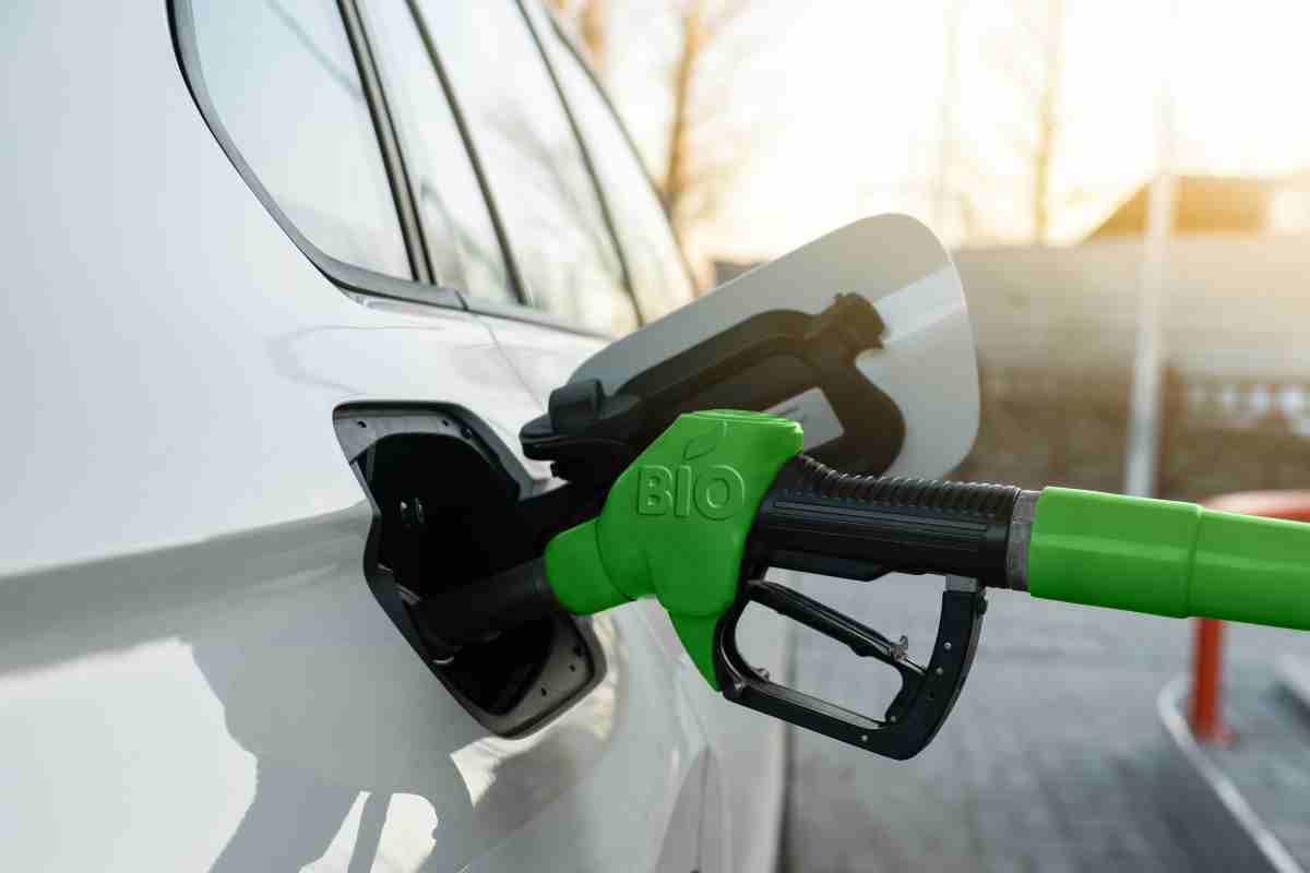 benzina green