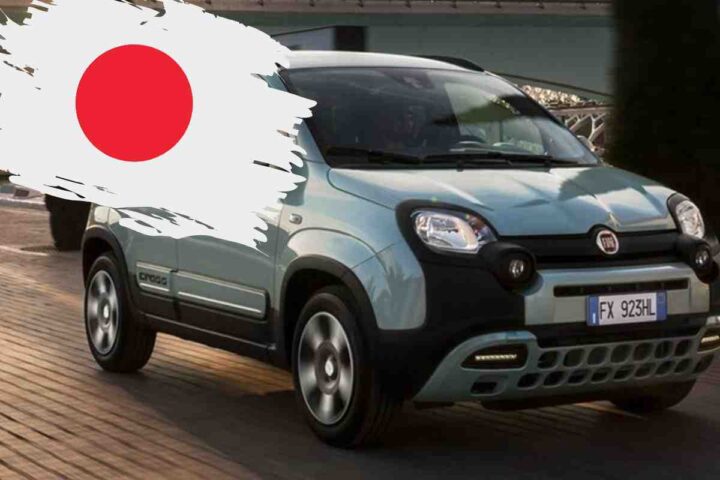 rivale panda giappone